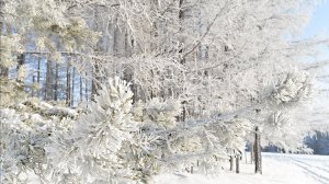 ВАЛЕРИЙ БРЮСОВ "ПЕРВЫЙ СНЕГ"