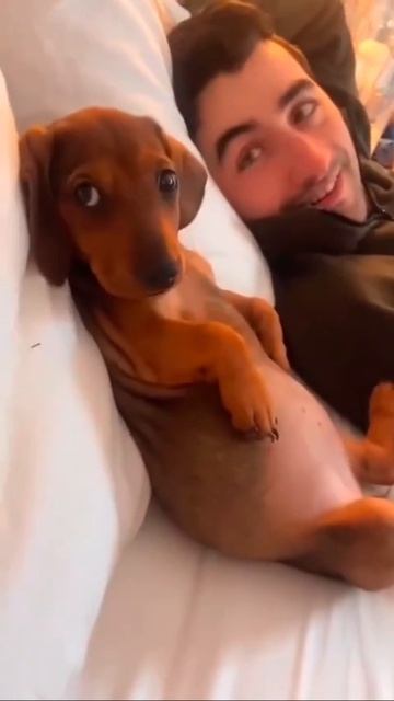 БАТЬКИН-ПАБЛИК