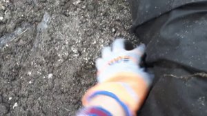 2344. Рассадный 2026. Снимаем укрытие с чеснока озимого,посеянного осенью.