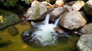 Куда нужно положить крашеное яйцо на Пасху, чтобы быстро пришли деньги.