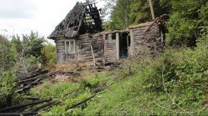 Восстановил заброшенную избушку своими руками. Бушкрафт