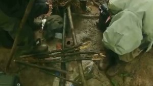 Два необитаемых острова: мужчины VS женщины