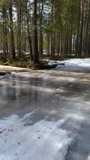 Третья Лужа на Тринадцатый 2026.04.10