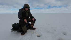 ОНЕЖСКИЙ ОКУНЬ не даёт покоя! Весенняя рыбалка началась!!!!