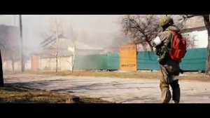 Кони привередливые
