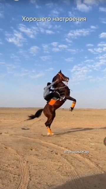 Добрый вечер #топ #музыка #хочуврек #яппи #рек #рекомендации #ГотовимЖар #лайк #подписка