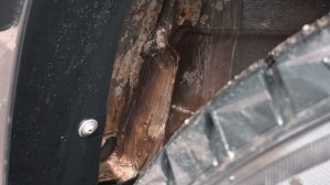 VID_20260410_094510.mp4