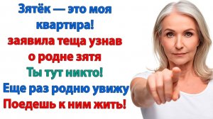 Это моя квартира! И я буду делать то, что хочу!| История из жизни | Жизненная История | Аудиокнига