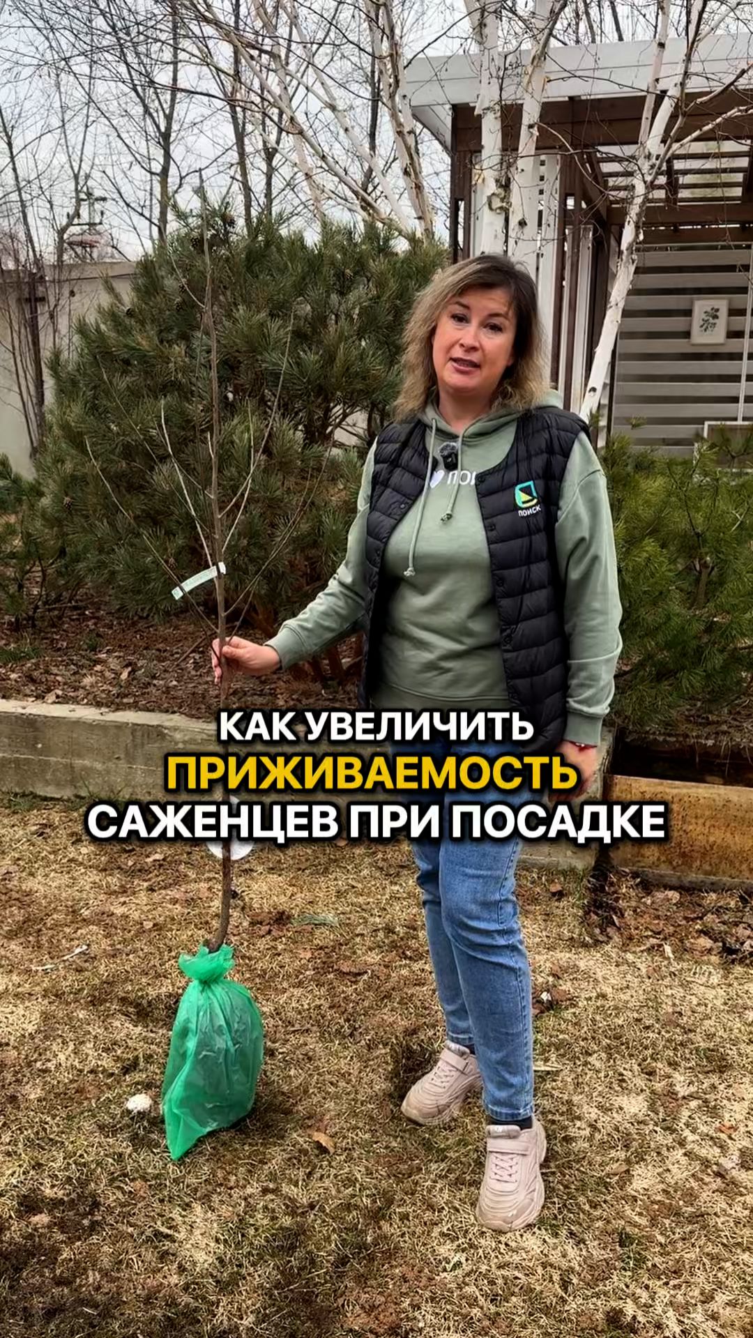 ДЕЛАЙТЕ ЭТО и саженцы точно приживутся при посадке!