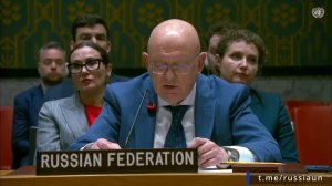 🎙️ Выступление В.А.Небензи👈🇷🇺