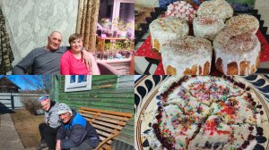 Проводили детей ,посадила цинии .