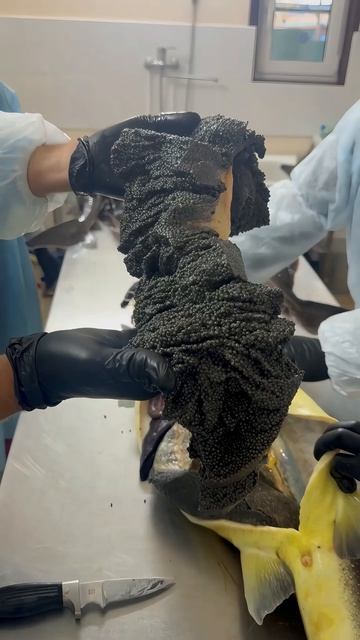 Чёрная икра.