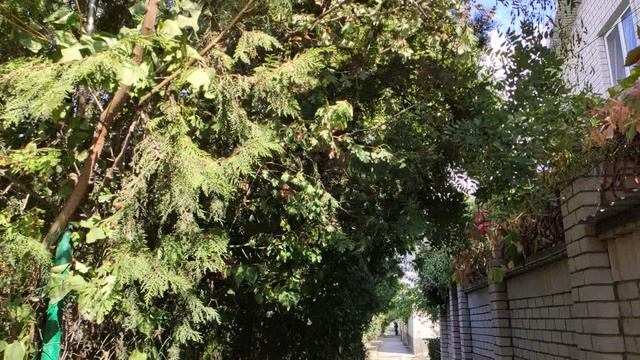 Один из дней города Евпатории | 13 сентября 2021 г | Крым ХАН БАТОН XAH 6ATOH | VID_20210913_150427