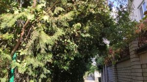 Один из дней города Евпатории | 13 сентября 2021 г | Крым ХАН БАТОН XAH 6ATOH | VID_20210913_150427