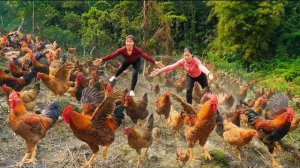 Продаю курей фермеру. Делаю компост. Делаю новые грядки для овощей. Серия 82. Ли Фук Ви