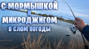 поиск РЫБЫ в слом погоды с МОРМЫШКОЙ и МИКРОДЖИГОМ. Рыба сама "липнет" ко мне, даже толстолобик ...