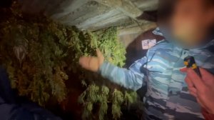 Из огорода – в колонию строго режима