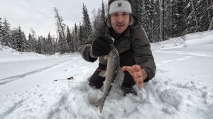 Таежная рыбалка в Эвенкии, едем за ельцом.