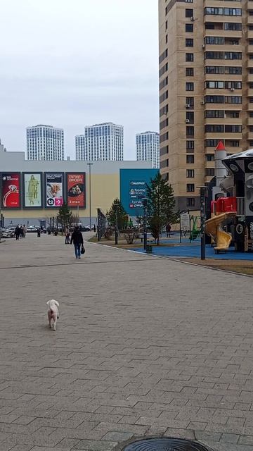 Мой микрорайон 🌺🌺