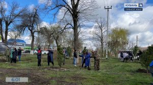 В станице Северской высадили привезенные из Запорожской области сосны