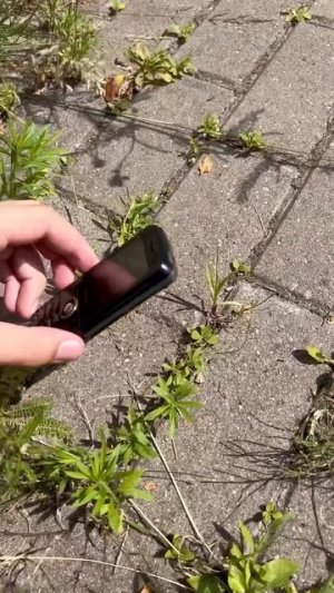Ты с другом в детстве