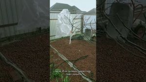 Защита от негатива