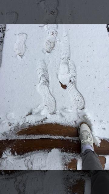 Идеальная лиственница