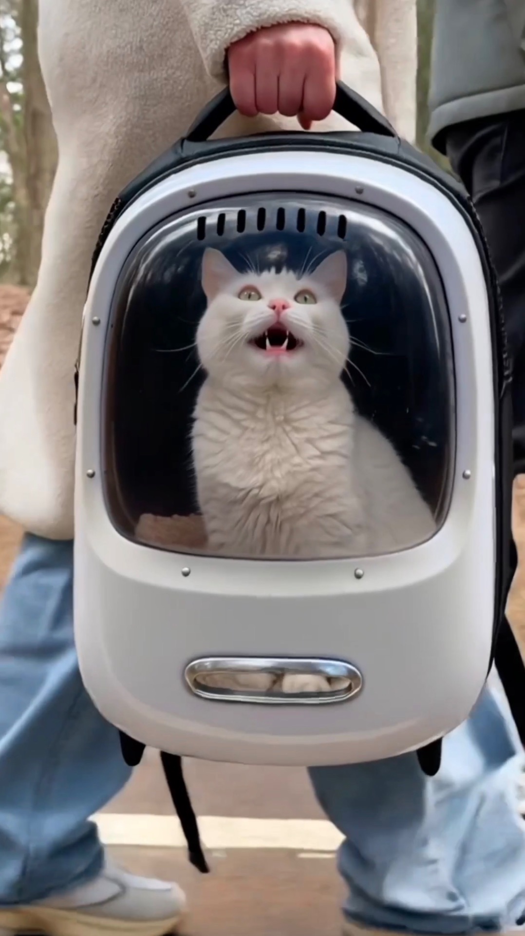 СОФА ПОТЕРЯЛАСЬ В ЛЕСУ 😳