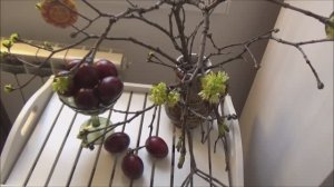 9 апреля. У нас снег. Крашу яйца и со Светлой Пасхой!!!