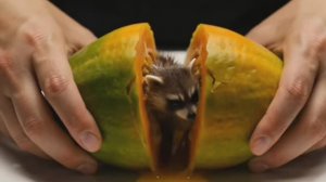 КРАСИВОЕ ВИДЕО | ИИ | НЕЙРОСЕТИ | ЗАЛИПАЛКА | ПОСМОТРИ КАКИЕ КРАСИВЫЕ ЖИВОТНЫЕ И ФРУКТЫ