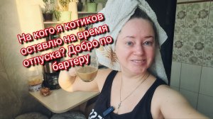 На кого я котиков оставлю на время отпуска? Добро по бартеру