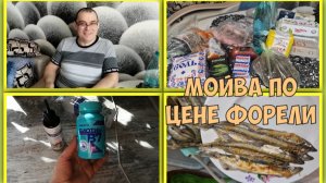 Рано себя списывать. Мойва по цене форели. Распаковка продуктов.