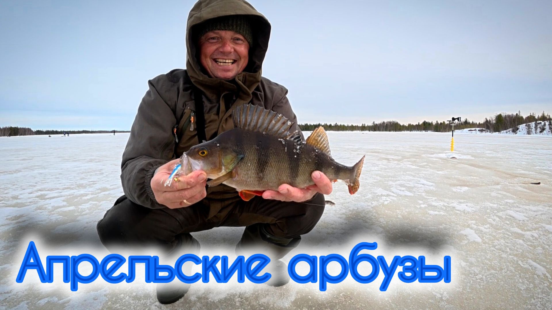 АПРЕЛЬСКИЙ ОКУНЬ РАЗДАЁТ