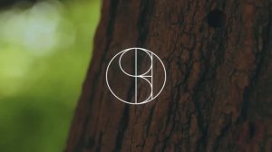 BROOSH @ OZORA Festival 2025 (Psychedelic Trance DJ Mix)