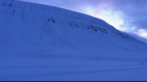 Видео визитка РГО 2026