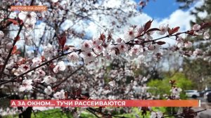 А за окном. 10 апреля 2026