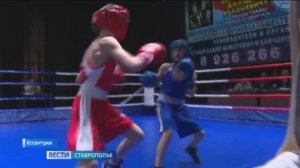 Первенство по шахбоксу впервые провели на Ставрополье