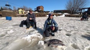 Форель в рыболовном клубе Чайка. Москва 2026