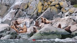 Чукотка: Мыс Дежнева