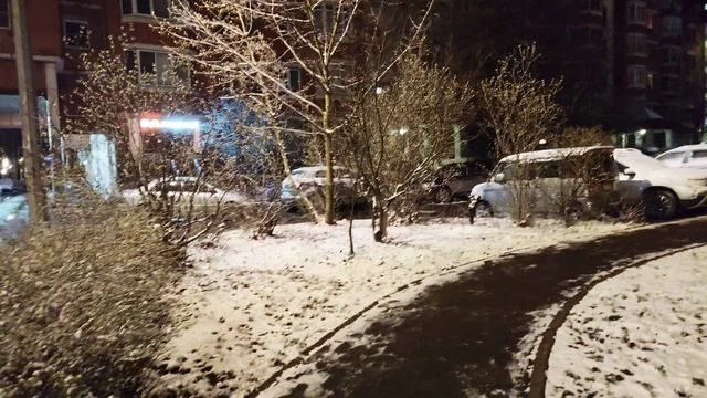 В Подмосковье выпал снег