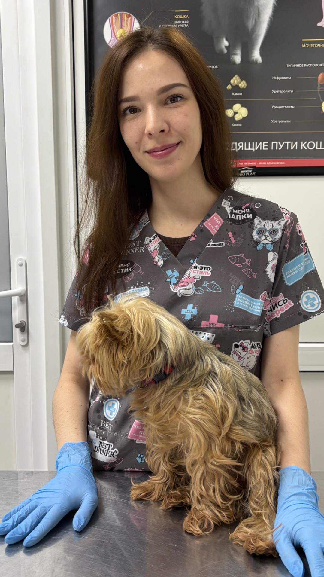 Администратор ветеринарной клиники