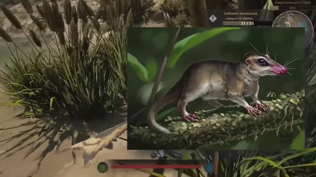 ТРИ ВЕЩИ КОТОРЫЕ СДЕЛАЛИ ТЕБЯ НАСТОЯЩИМ ЗВЕРЕМ