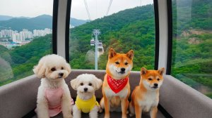 Мультики для детей. Яркие Мультики. Детские мультики смотреть