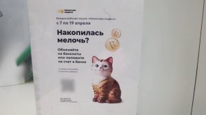 Время местное. Эфир: 10-04-2026 - Монетная неделя