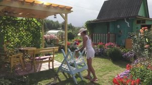 6 соток 18 августа 2021 год. Хроника.