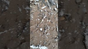 Стекло мусор в реках