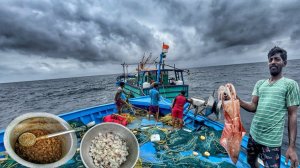 Уже четырнадцатый день мы находимся в открытом море и ловим много рыбы