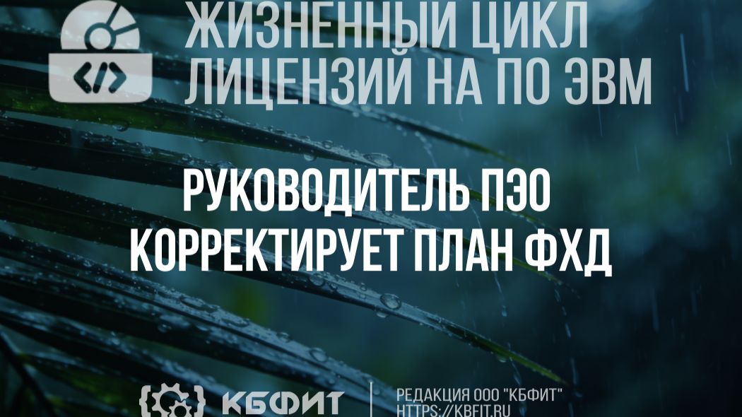 КБФИТ: МЕДЕРП. ЖЦП. Жизнь лицензии на ПО руководитель ПЭО корректирует план ФХД