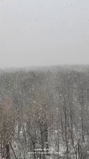 Апрельский снегопад в Москве 🌨️  09.04.2026