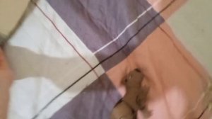 Новая 3д?(Спс за 63 пдп🥳🥳🥳)